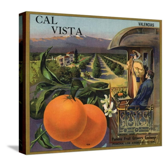 Orosi Tulare County Tom Cat Orange Citrus Fruit Crate Label Vintage Art Print 